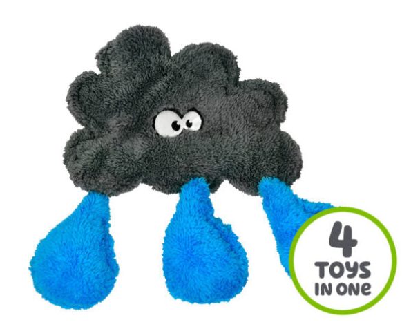 Duraplush-RainCloud-700x560px-600×480-1
