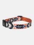 arroyo_collar