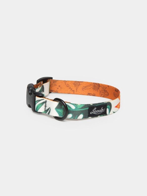 tropicana_small_collar_1024x1024_bc009ada-d504-40c5-8e9c-7a8f12a1f1db